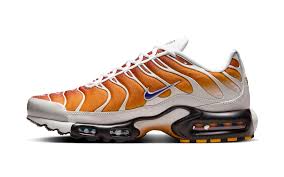 Nike Air Max Tn Orange
