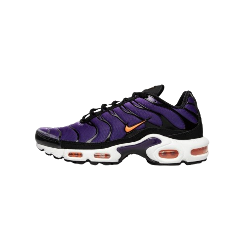 Nike Air Max Tn Purple