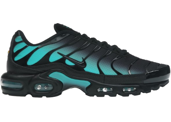 Nike Air Max Black Dusty Cactus